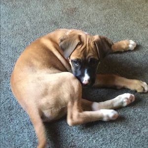 Meet your Posher, Rhonda